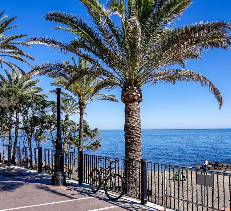 AGP Cykel Adobestock 1401726858