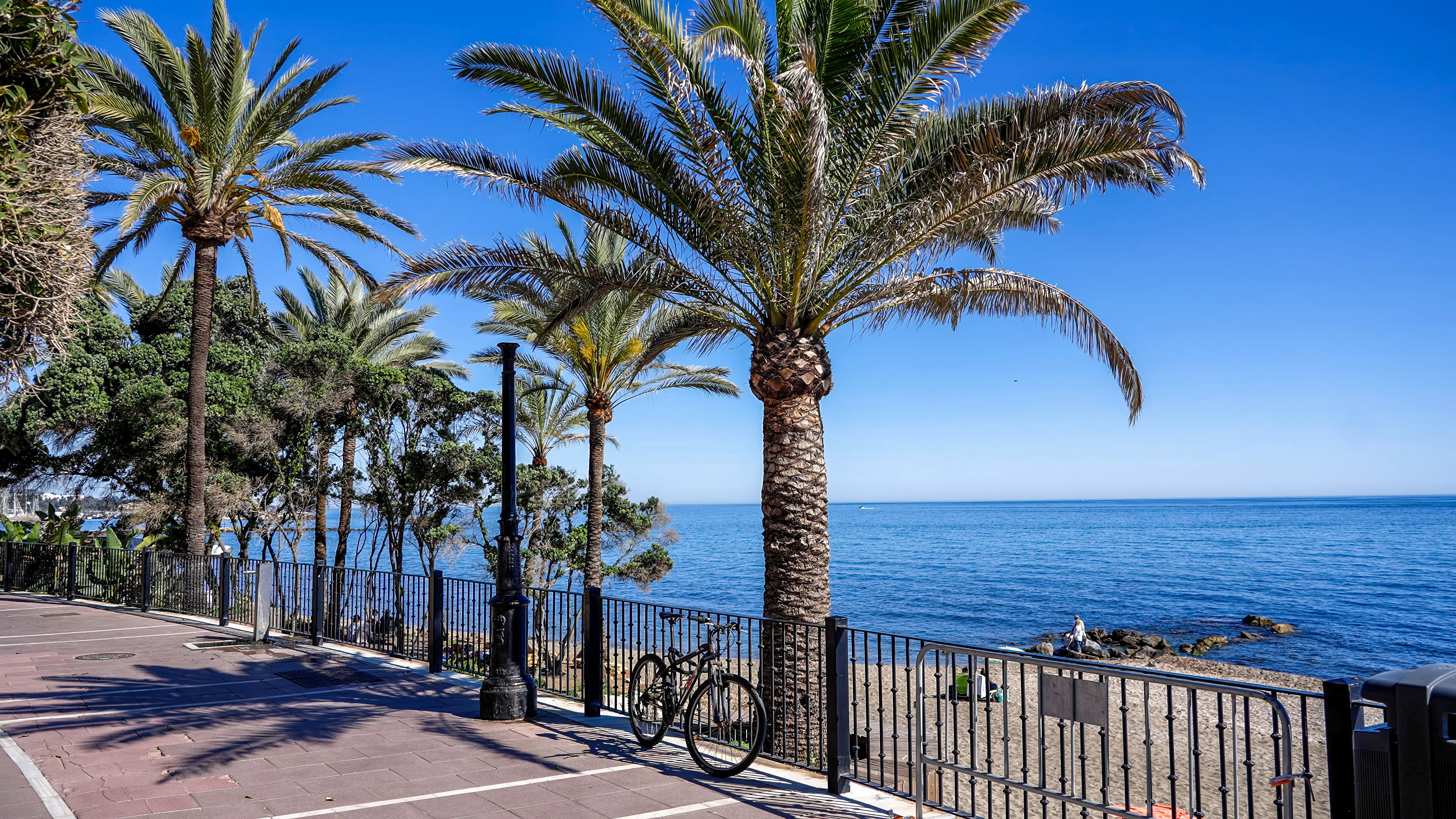 AGP Cykel Adobestock 1401726858