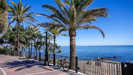 AGP Cykel Adobestock 1401726858