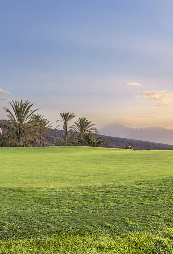 Tecina Golf Green Hoyo 1 2
