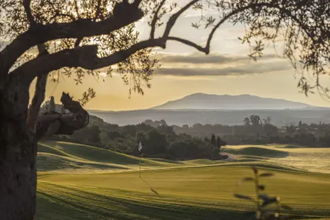 Costanavarino Thedunes 10