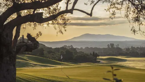 Costanavarino Thedunes 10