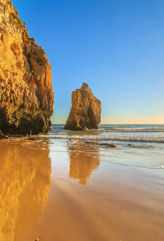FAO Praia Da Rocha 266743307
