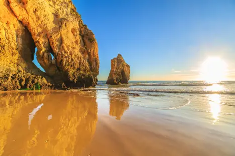 FAO Praia Da Rocha 266743307