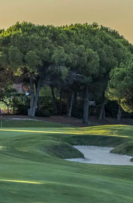 XRY Almenara Golf 7