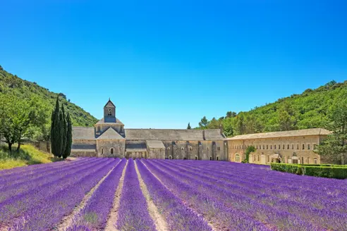 Gordes Senanqueabbey Adobestock 49856057