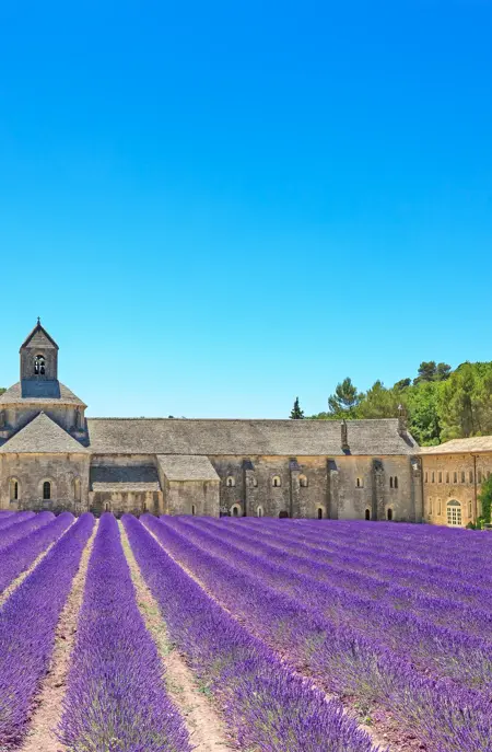 Gordes Senanqueabbey Adobestock 49856057