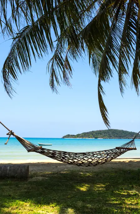 Thai Kohchang 406408204