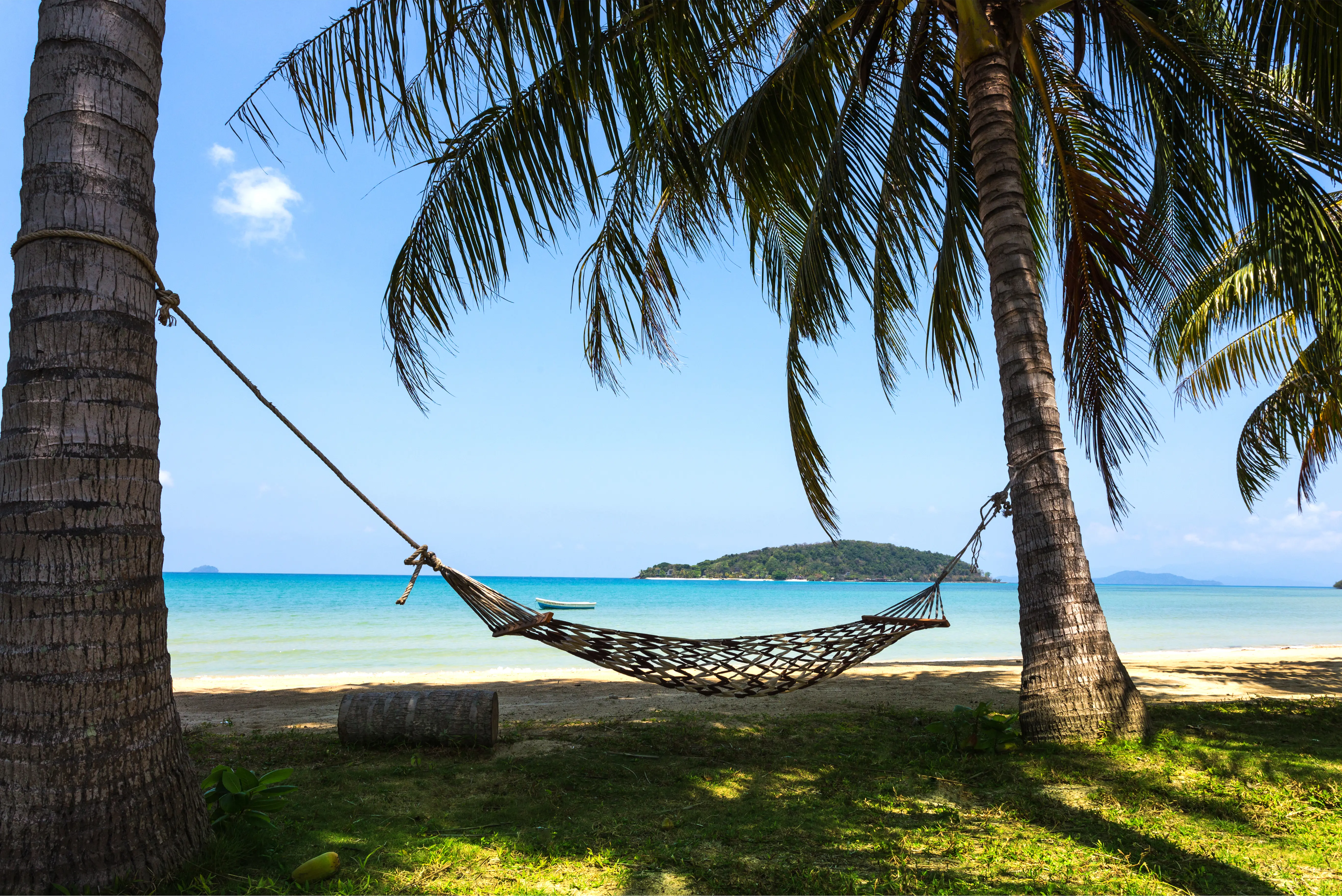 Thai Kohchang 406408204