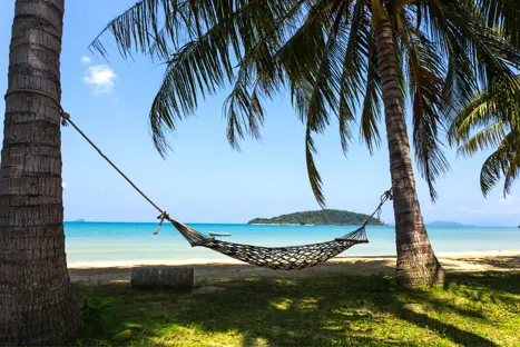 Thai Kohchang 406408204