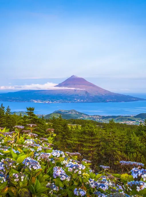 Premium Portugal Azores Wine And Volcanos Day4 Pico Island Pico Island Gettyimages 869128832 1