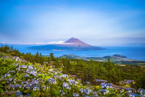 Premium Portugal Azores Wine And Volcanos Day4 Pico Island Pico Island Gettyimages 869128832 1