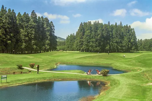 Furnas