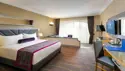 Junior Suite med udsigt til haven