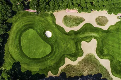 Papillon/The Montgomerie