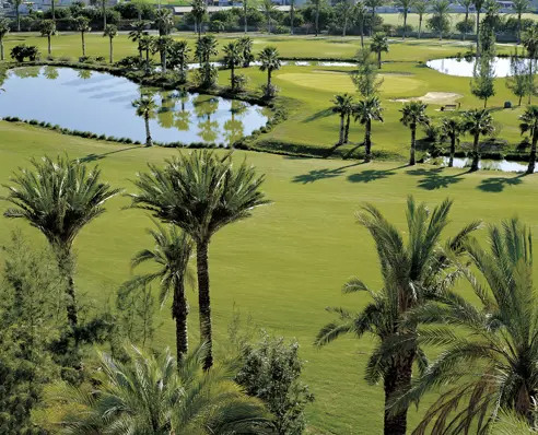 Golf las Américas