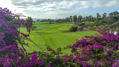 Golf del Sur