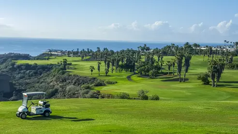 Golf del Sur