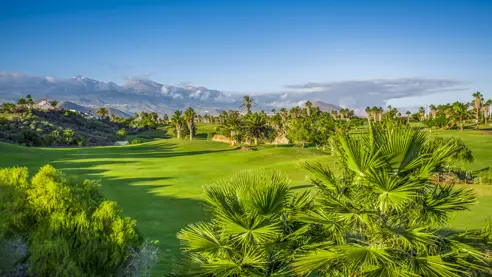 Golf del Sur