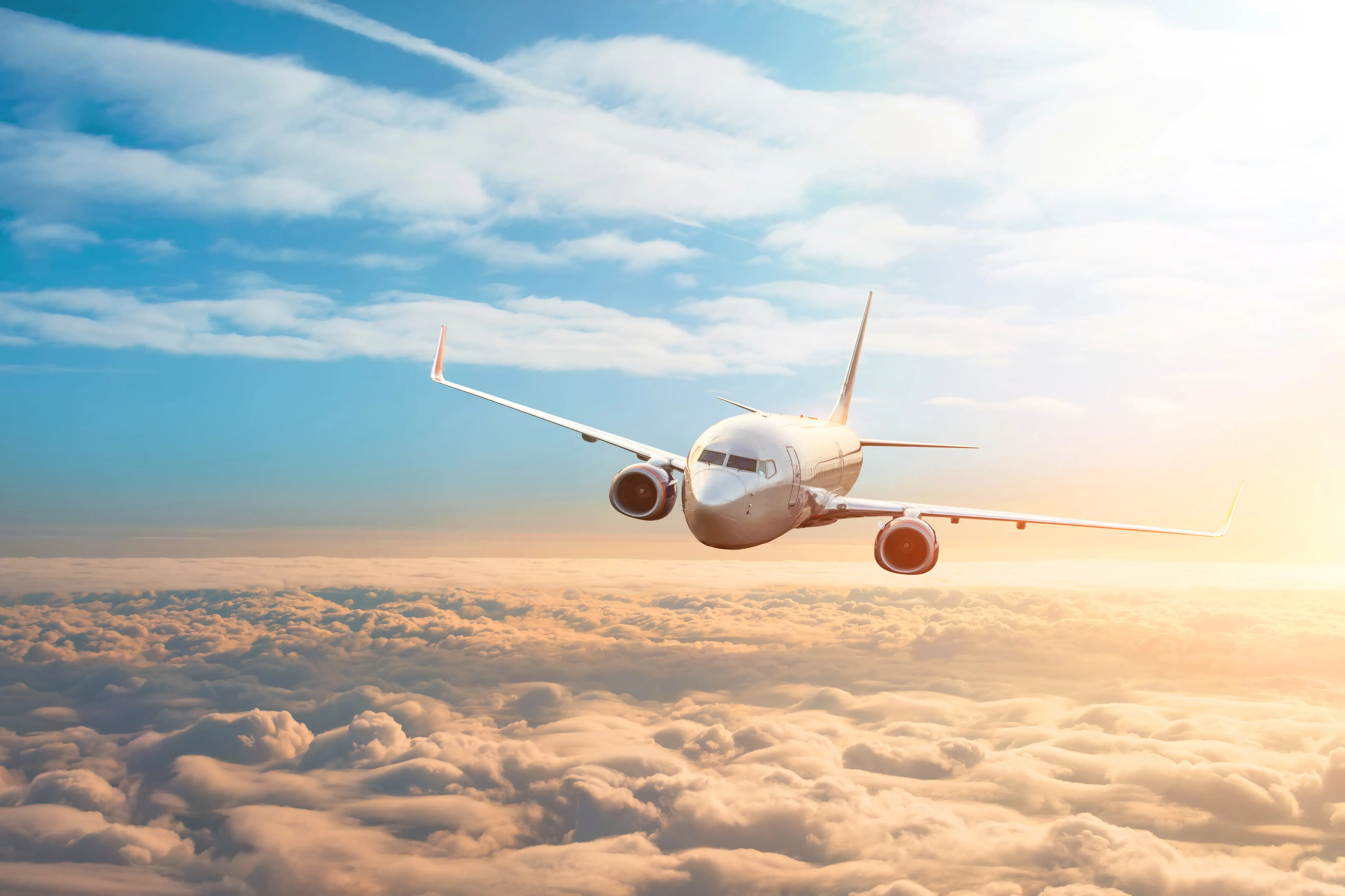 Flybillet tur/retur