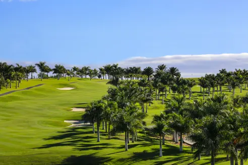 Meloneras Golf